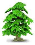 drzewo-ginko-biloba-marka-collecta