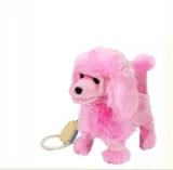 pies-pudel-chodzacy-na-smyczy-mix-stan-nowy