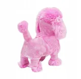 pies-pudel-chodzacy-na-smyczy-mix-marka-trifox