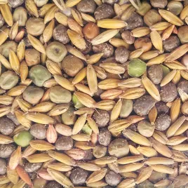 mieszanka-poplonowa-straczkowo-zbozowa-mp-4-nasiona-wzbogaca-w-azot-1kg