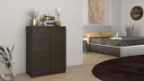 komoda-2d2s-wenge