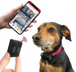 gps-lokalizator-dravires-dla-psa-kota-zwierzaka-polska-aplikacja