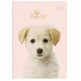 zeszyt-a5-16k-kolorowa-kratka-zeszyt-w-kolorowa-kratke-16-kartek-dziewczecy