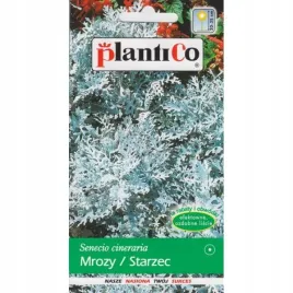 starzec-mrozy-02g-nasiona-kwiatow-plantico