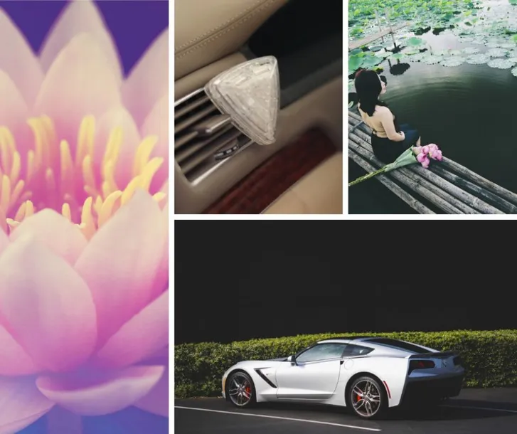 diamo-lotus-k2-k2-v88lot-waga-z-opakowaniem-0-04-kg