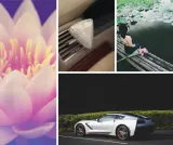 diamo-lotus-k2-k2-v88lot-waga-z-opakowaniem-0-04-kg