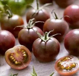 pomidor-black-cherry-idealne-do-salatek-i-przekasek-plantico-nasiona