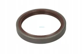 zimering-skrz-daf-cf65-truck