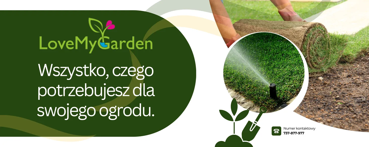 undefined_undefined