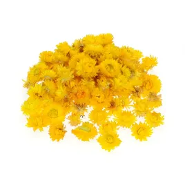 suszone-kocanki-zolte-kwiaty-glowki-50-g-70-szt