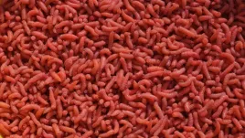 robak-pinka-fluo-1-litr-600g