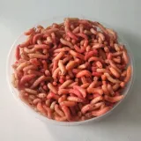 robak-kolorowy-op-100-ml