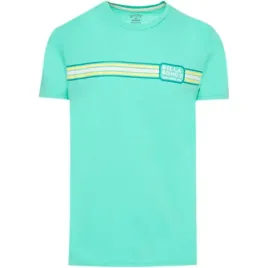 koszulka-meska-billabong-plants-dance-mietowa