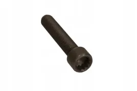 sruba-walka-rozrzadu-vw-transporter-03-10-25-tdi-vag-n10521701