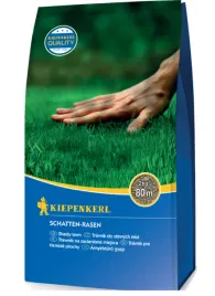 trawa-mieszanka-traw-kiepenkerl-miejsca-zacienione-80-m-2-kg