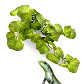 biobush-no7-roslina-sztuczna-tropikalna-do-terrarium-zurawka