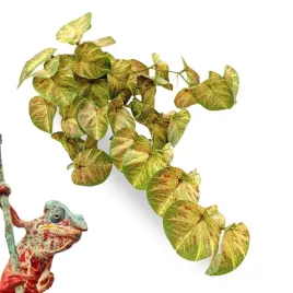 biobush-no8-roslina-sztuczna-tropikalna-do-terrarium-zurawka