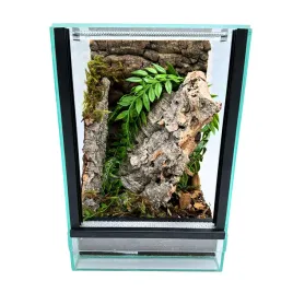 terrarium-szklane-z-wyposazeniem-20x20x30cm-zestaw-dla-pajakow-nadrzewnych