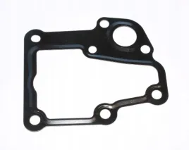 uszczelka-termostatu-citroen-c4-2-0-04-el100050-100-050