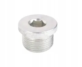 sruba-spustu-oleju-vw-phaeton-02-vag-n10037106