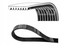 pasek-wielorowkowy-8pk2120hd-dayco-8pk2120hd