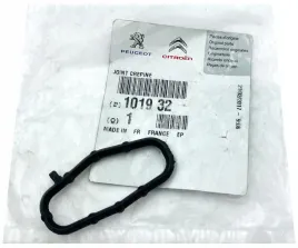 uszczelka-pompy-oleju-citroen-c4-xsara-99-do-smoka-oleju-psa-101932
