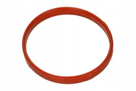 uszczelniacz-przepustnicy-bmw-3-e46-5-e39-e60-7-e65-x3-e83-x5