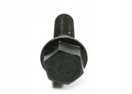 sruba-bmw-x5-e53-bmw-11231736585