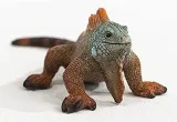 iguana-slh14854-plec-chlopcy-dziewczynki