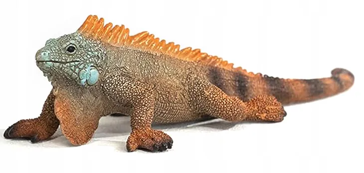 iguana-slh14854-wiek-dziecka-3-lata