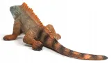 iguana-slh14854-glebokosc-produktu-5-cm