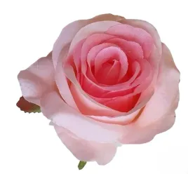 roza-wyrobowa-x12-rozowy