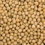 ciecierzyca-25kg-waga-25-kg