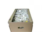 boczniak-500-g-waga-522-g
