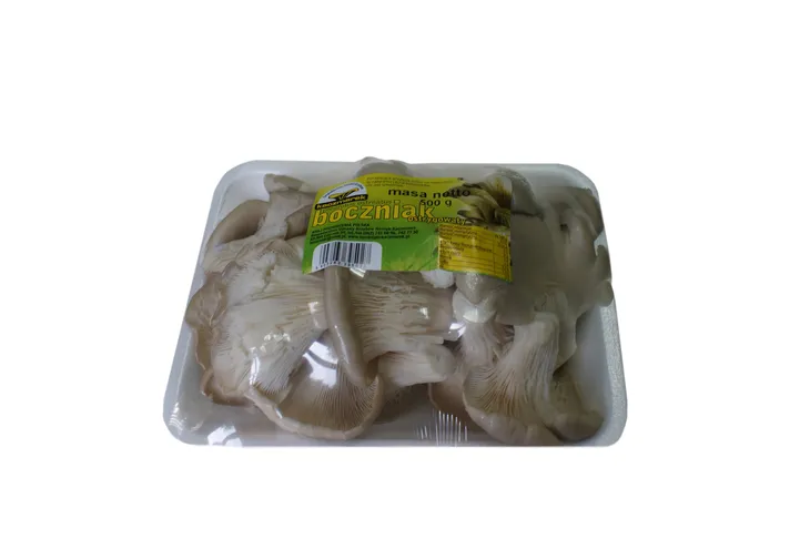boczniak-500-g-postac-kapelusze