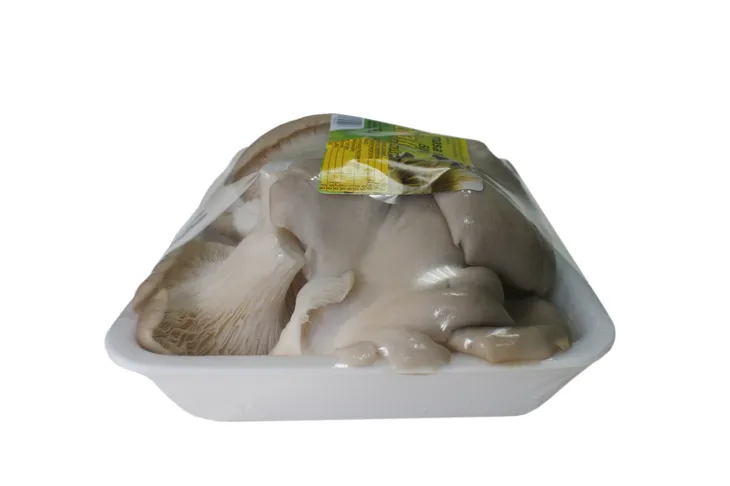 boczniak-500-g-kod-producenta-5903263395027