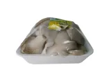 boczniak-500-g-kod-producenta-5903263395027