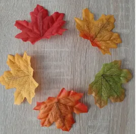 pani-jesien-komplet-dodatkow-do-stroju-5-sztuk-balik