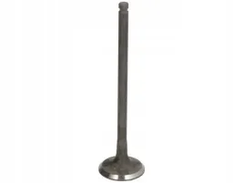 freccia-r6953-rnt-zawor-wydechowy