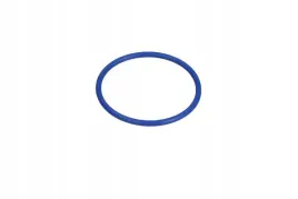 uszczelka-pompy-paliwa-audi-a4-08-vag-wht005184