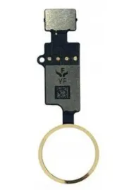 przycisk-home-guzik-do-iphone-7-8-7-8-gold