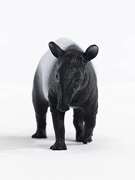 tapir-plec-chlopcy-dziewczynki