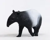 tapir-material-plastik