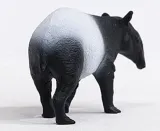 tapir-certyfikaty-opinie-atesty-ce