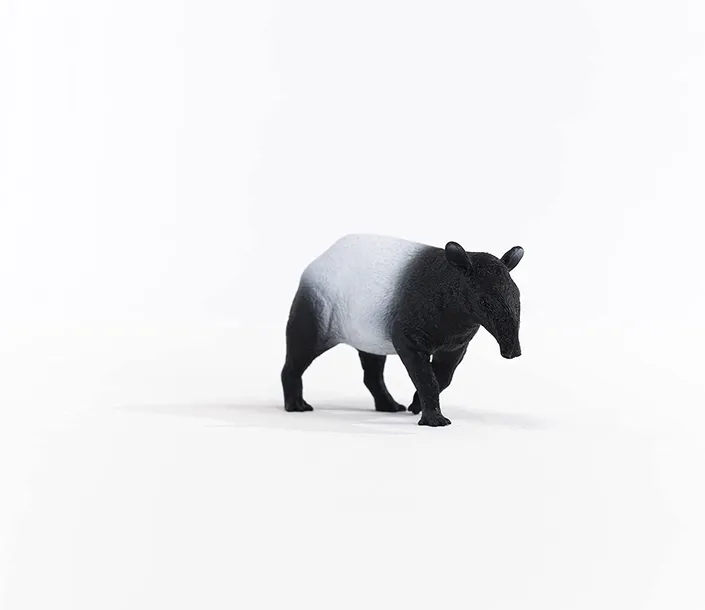 tapir-skala-1-24