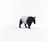 tapir-skala-1-24