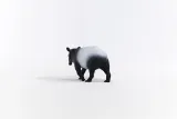 tapir-typ-figurka