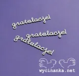 champion-napisy-gratulacje