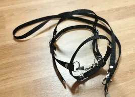 oglowie-dla-hobby-horse-a4-paski-parciane-czarne