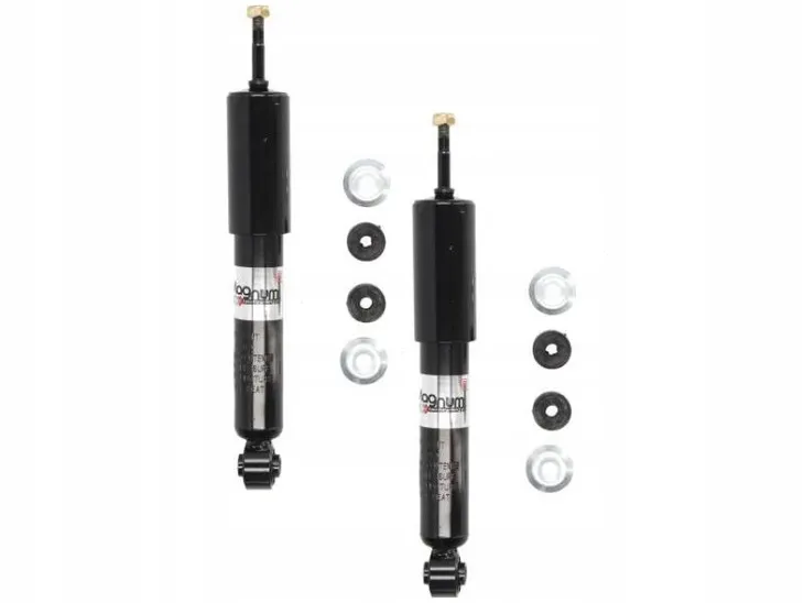 magnum-technology-amortyzator-ag1098mt-producent-czesci-magnum-technology